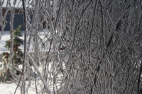 ice storm 2008 04 thumb