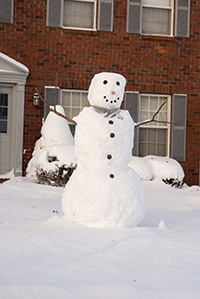 r snowman thumb